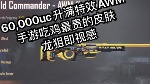 pubg国际服皮肤爆料最新,最新Pubg国际服皮肤爆料,潮流元素一网打尽!
